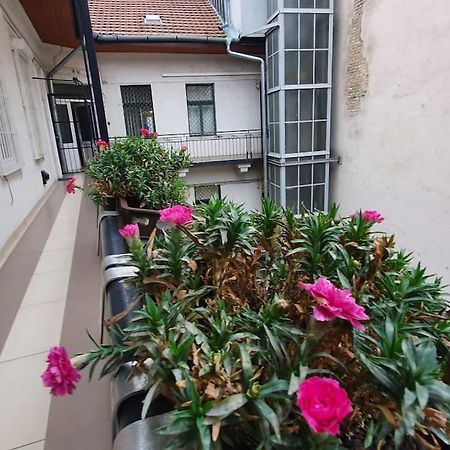 Violet Apartment With Air Condition Budapešť Exteriér fotografie